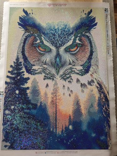 Customer photo review of 5D Diamond Painting AB Steine Natur Eule