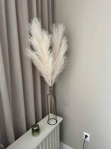 Customer photo review of Pampas 110cm (3 tiges)- Beige