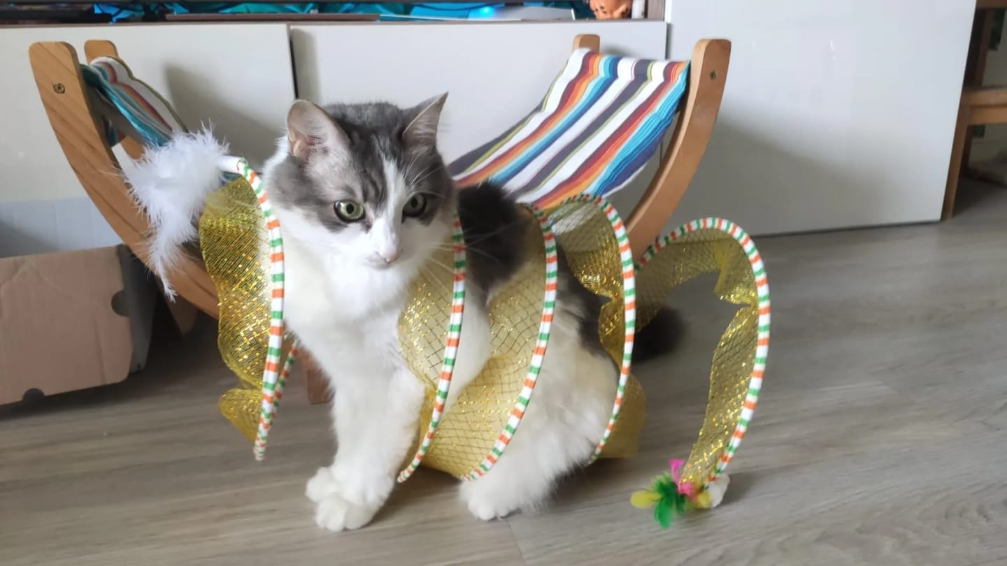 Customer photo review of Spiral Tunnel Toy