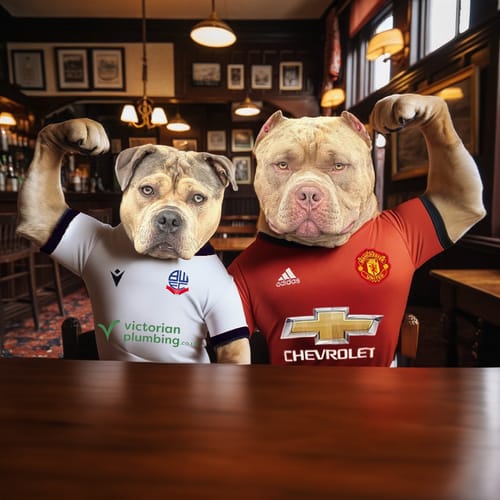 Customer photo review of Personalised Football Dog Art