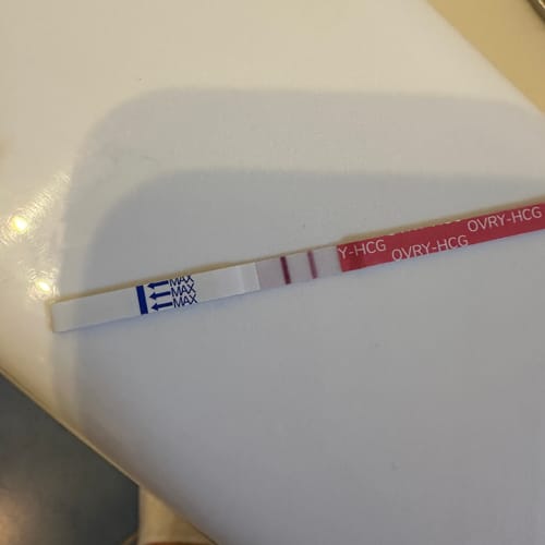 Customer photo review of Pregnancy Test Strips (Ultra-Sensitive)