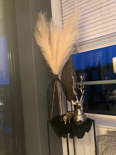 Customer photo review of Pampas 110cm (3 tiges)- Crème