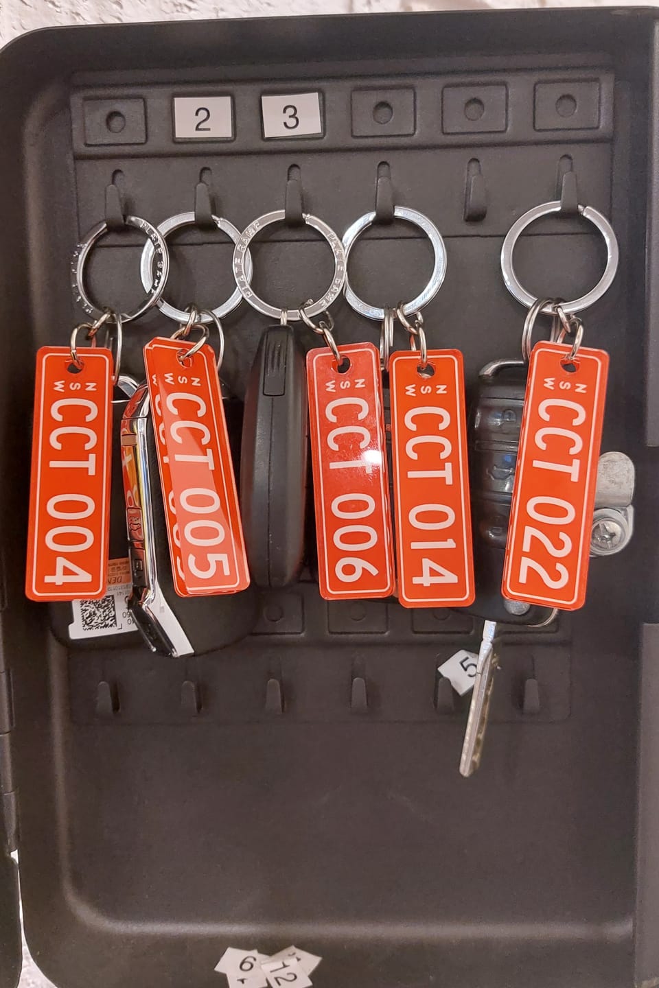 Customer photo review of NSW Colours Range Licence Plate Custom Keychain