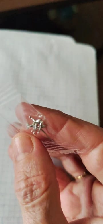Customer photo review of Sterling Silver Balloon Dog Earrings