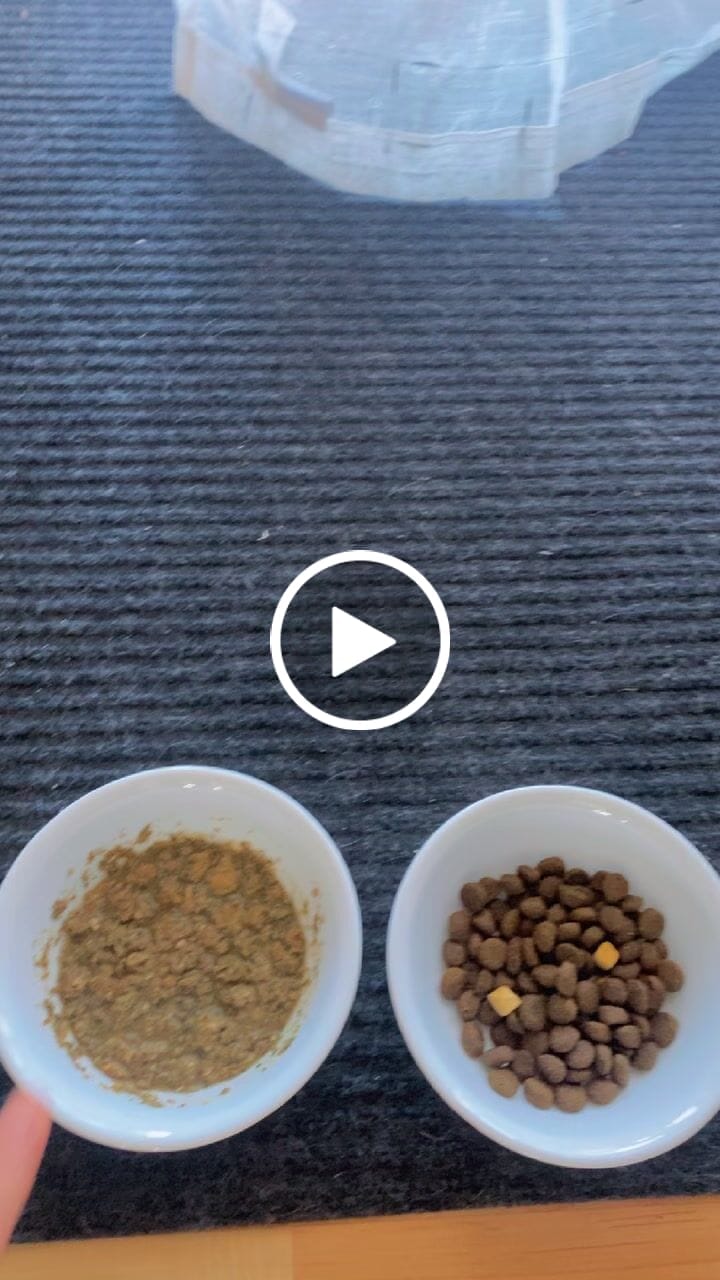 Customer video review of Beef Meal Patties