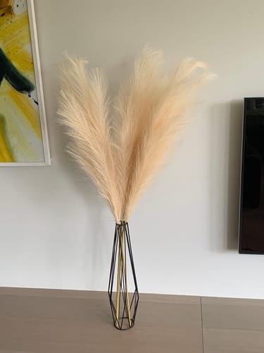 Customer photo review of Pampas 110cm (3 tiges)- Crème