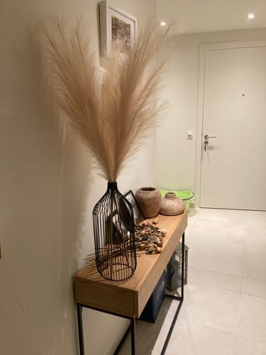 Customer photo review of Pampas 110cm (3 tiges)- Crème