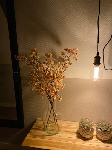 Customer photo review of Fleur de Sakura - Vieux rose (3 tiges)