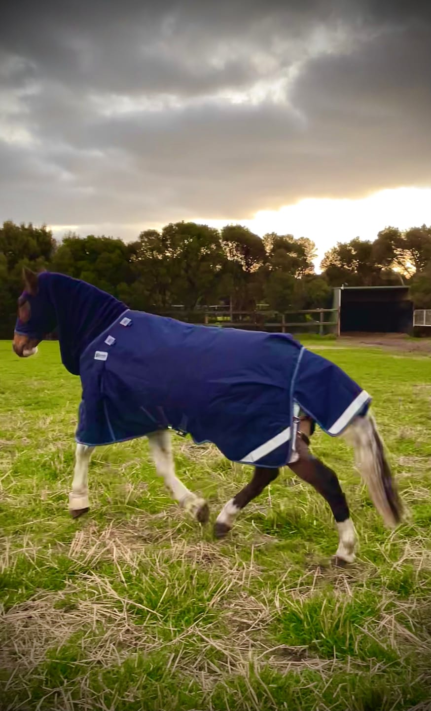 Customer photo review of LE Boxter Turnout Ripstop 200g