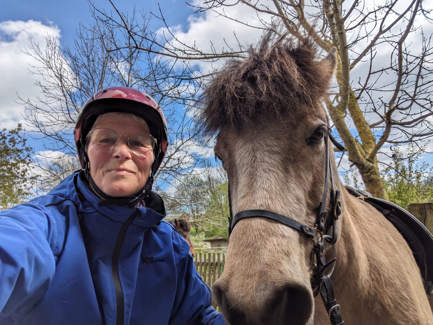 Customer photo review of Icelandic Horse: Futter - Agrobs Weidemineral-Cobs 25 kg regelmäßige Lieferung