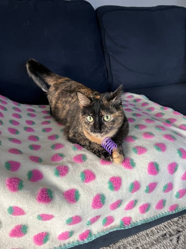Customer photo review of Strawberry Puff Blanket