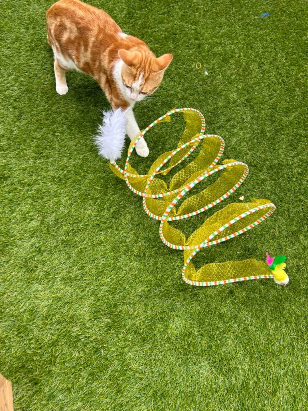 Customer photo review of Spiral Tunnel Toy
