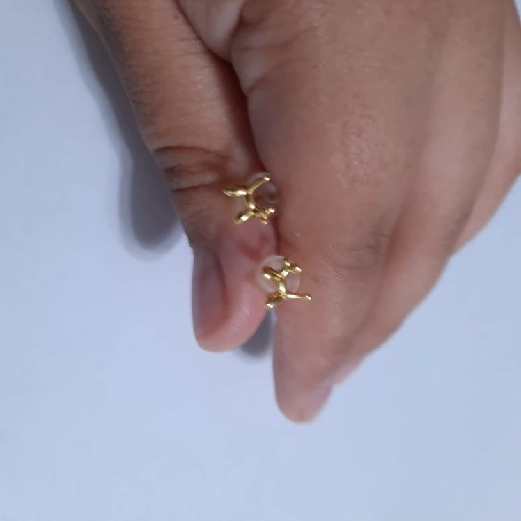 Customer photo review of Sterling Silver Balloon Dog Earrings
