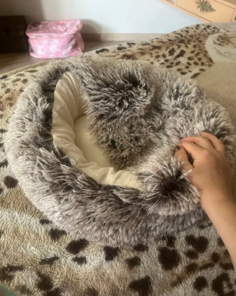 Customer photo review of Shell Bed