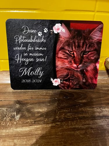 Customer photo review of Katzen Gedenktafel mit Foto & Spruch (UV- & Wetterfest)