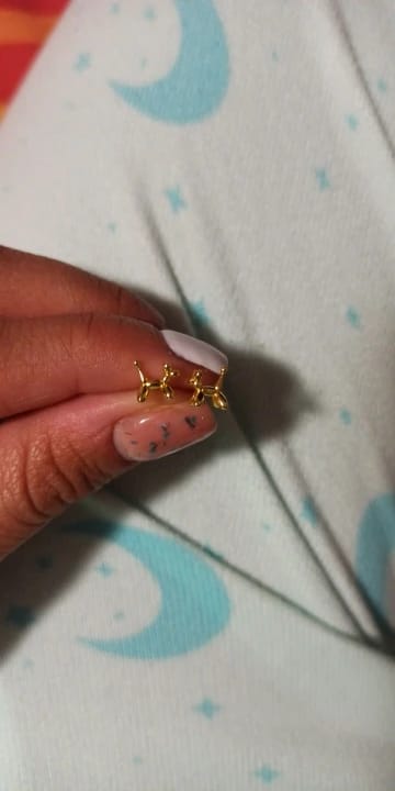Customer photo review of Sterling Silver Balloon Dog Earrings