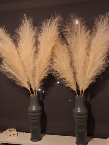 Customer photo review of Pampas 110cm (3 tiges)- Crème