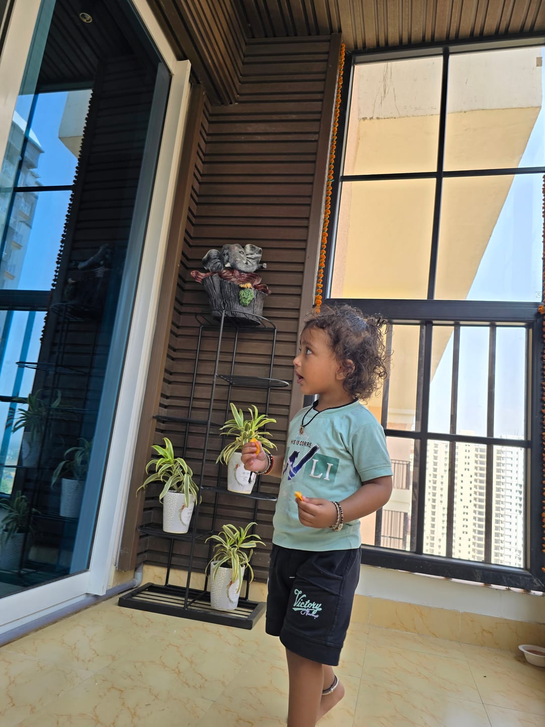 Customer photo review of Plant Stand Metal 6 Tier 7 Potted Multiple Flower Pot Holder Shelf Indoor Outdoor Planter Display Shelving Unit For Patio Garden Corner