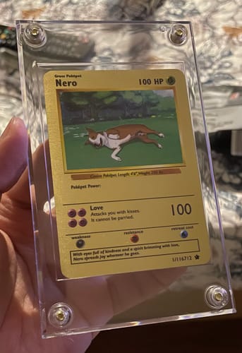 Customer photo review of Product options