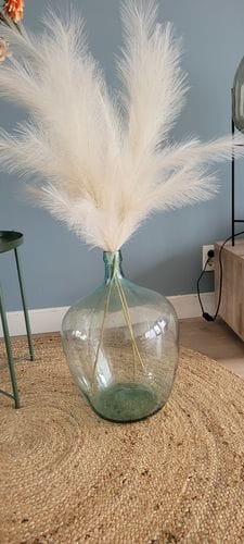 Customer photo review of Pampas 110cm (3 tiges)- Beige