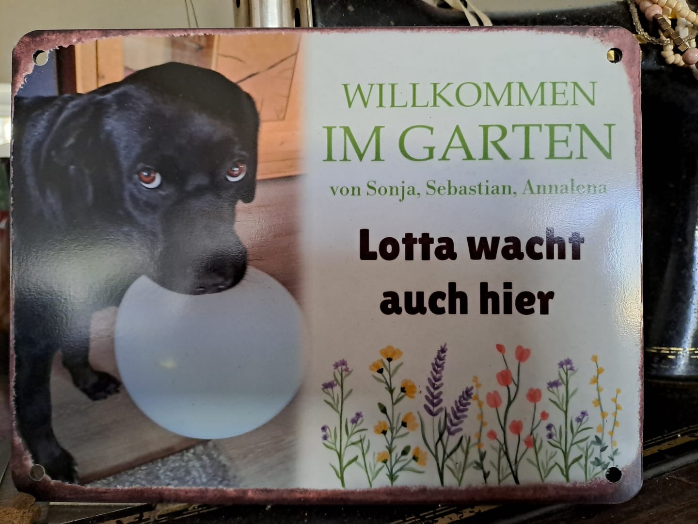 Customer photo review of Hunde Garten-Schild personalisiert mit Foto & Text (UV- und wetterfest)