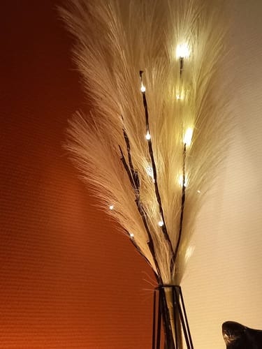 Customer photo review of Pampas 110cm (3 tiges)- Crème
