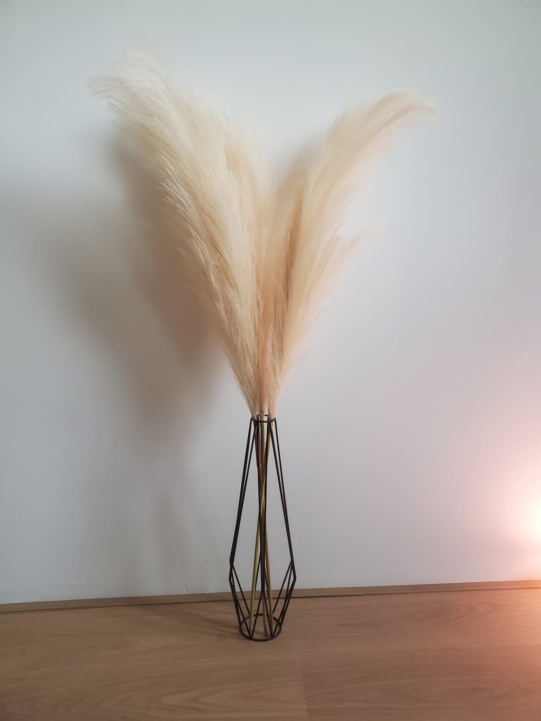 Customer photo review of Pampas 110cm (3 stengels)- Crème