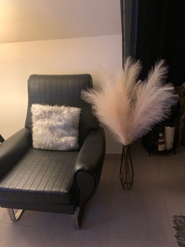 Customer photo review of Pampas 110cm (3 tiges)- Crème