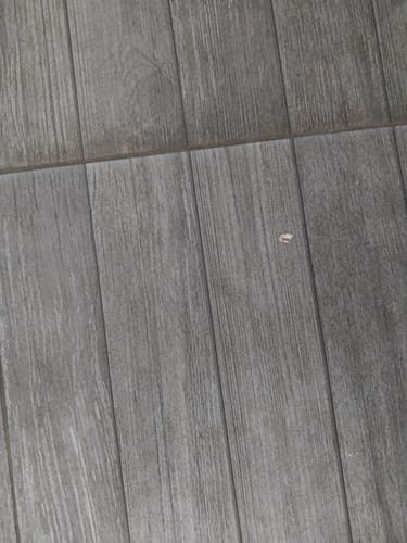 Customer photo review of Nettoyant détachant pour pierres
