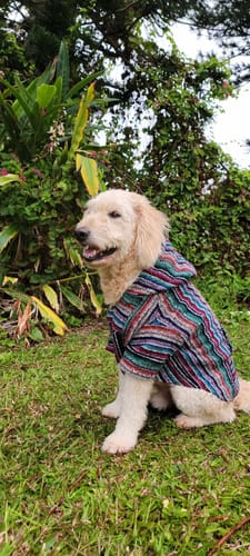 Customer photo review of Playa Poncho - Surprise Color