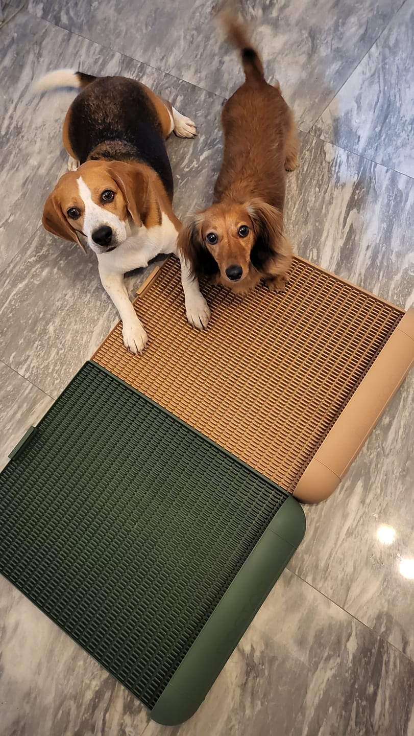 Customer photo review of Extended Protrusion Potty Pad (Size L)