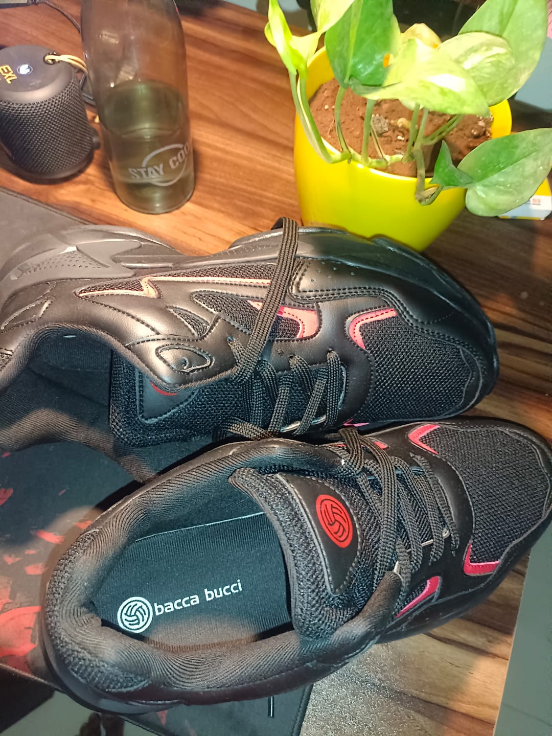 Customer photo review of Bacca Bucci Zeus