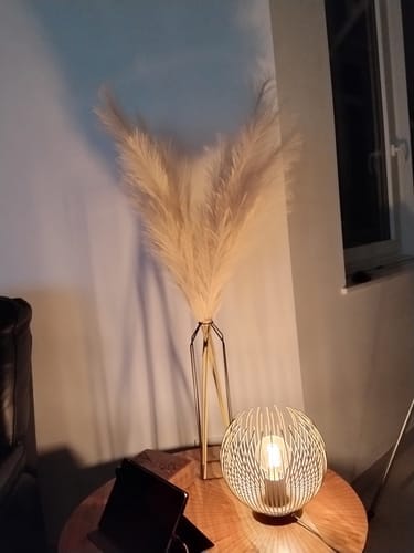 Customer photo review of Pampas 110cm (3 tiges)- Crème