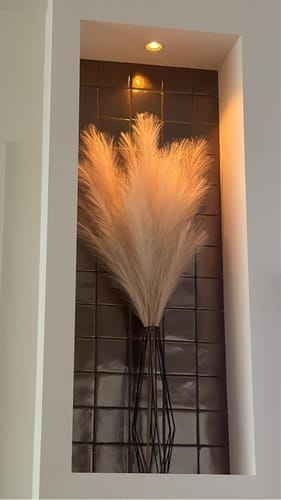 Customer photo review of Pampas 110cm (3 tiges)- Crème