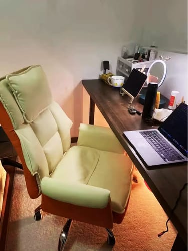 Customer photo review of Reclining Executive Chair with Pillow and Double Foam Cushions