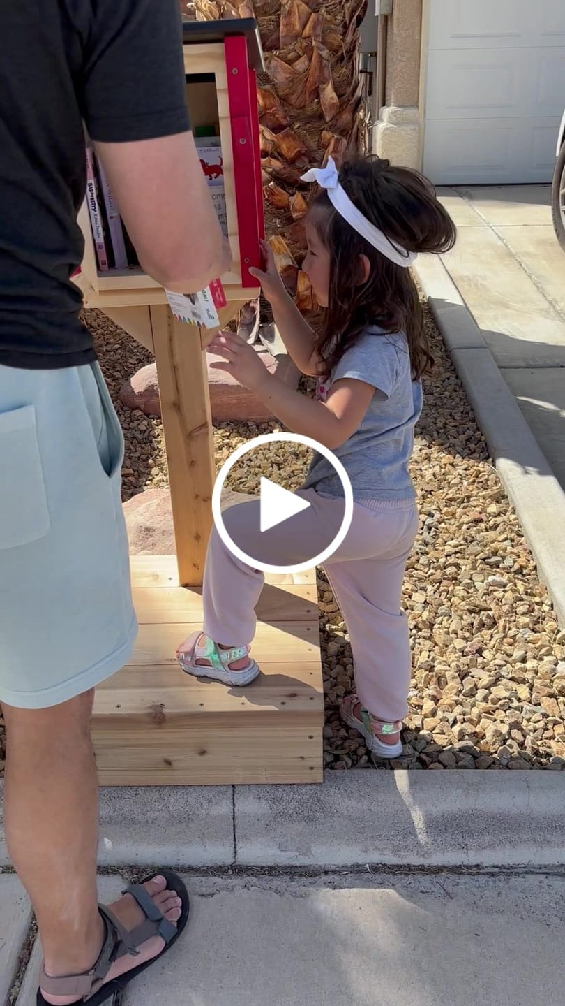 Customer video review of Mini Shed Kit Little Free Library