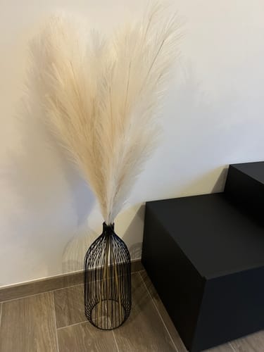 Customer photo review of Pampas 110cm (3 tiges)- Beige