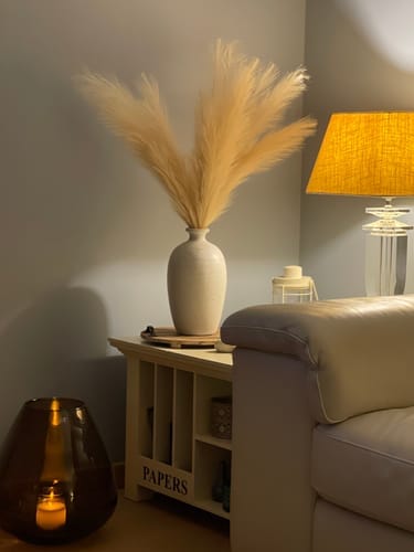 Customer photo review of Pampas 110cm (3 tiges)- Crème