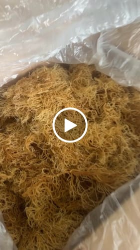 Customer video review of Wholesale Sea Moss