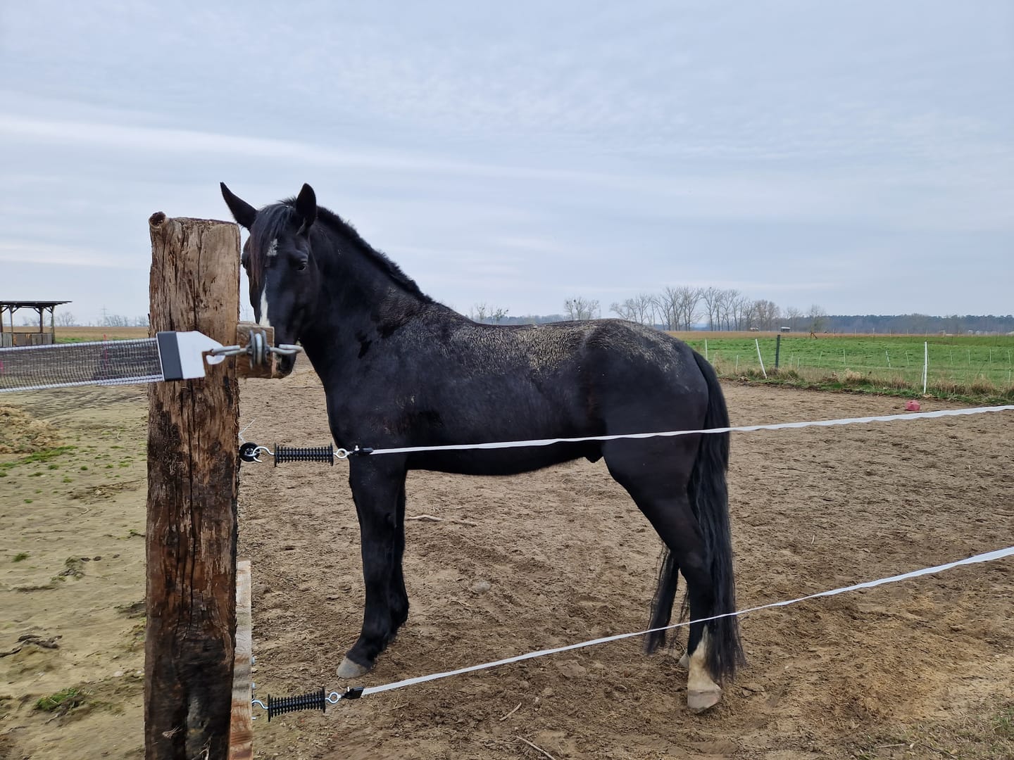 Customer photo review of Kristallkraft Mental Balance