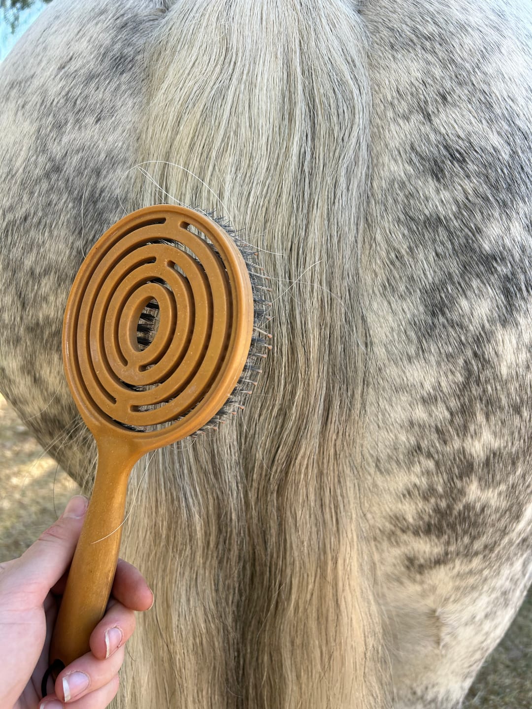Customer photo review of Queen's Brush - Royal Mane & Tail Brush