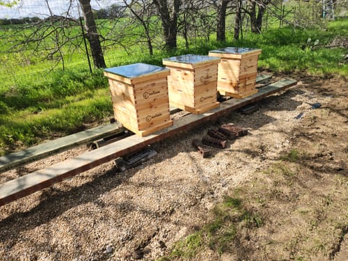 Customer photo review of BeeCastle Hives 10 Frame Wax Coat Complete Beehive Kit:2 Designed Deep Bee Boxes and 1 Super Medium Box,Includes Premium Wooden Frames and Beeswax-Plastic Foundation