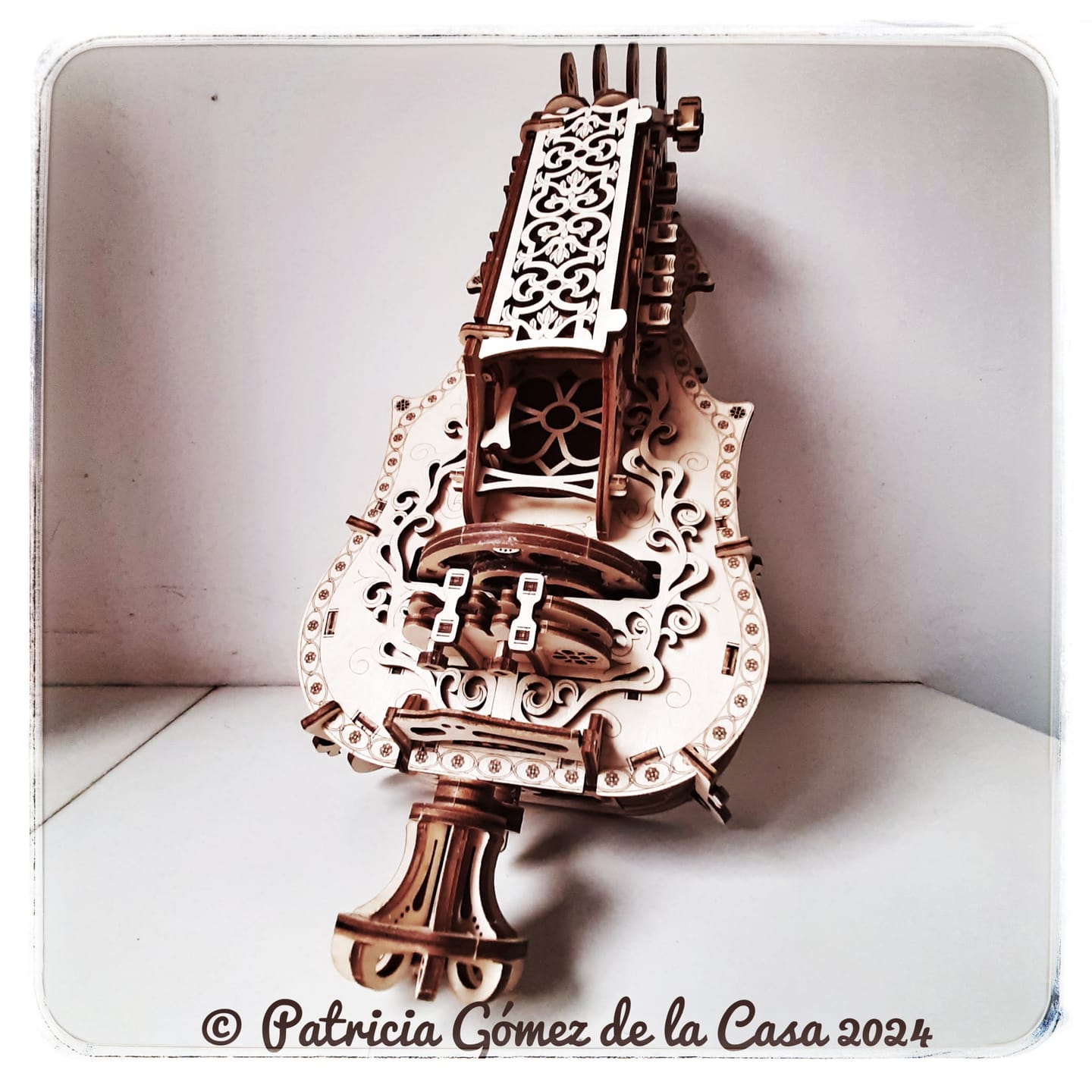 Customer photo review of Lyra da Vinci