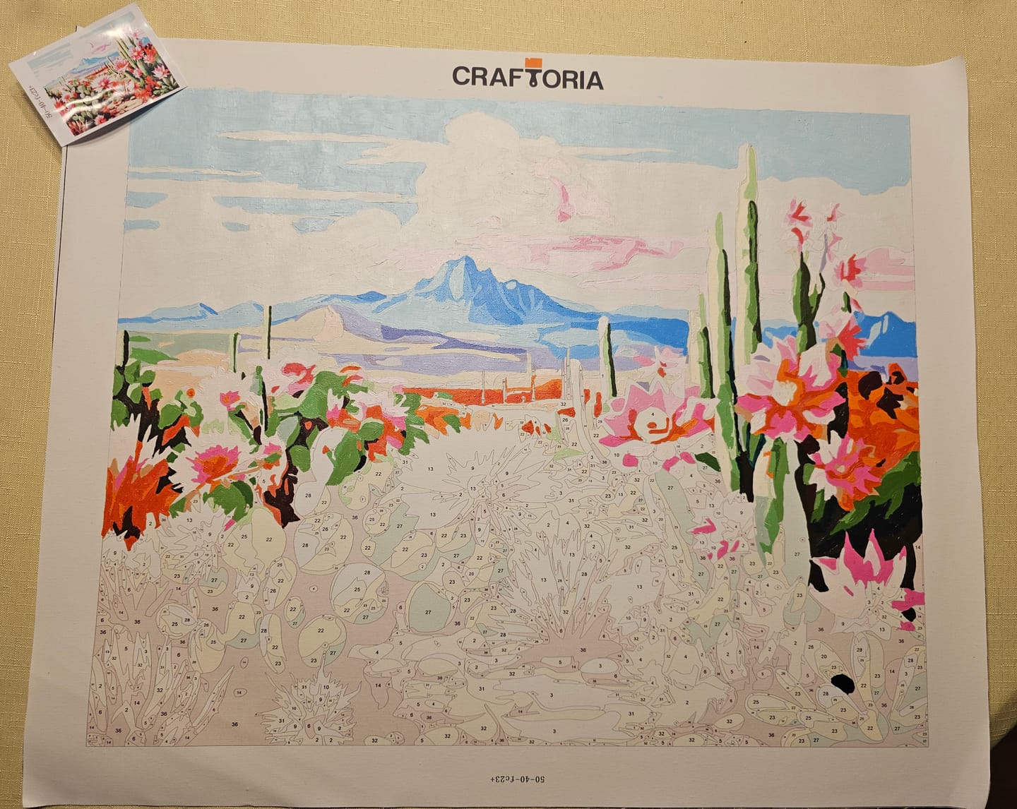 Customer photo review of Cactus Kit