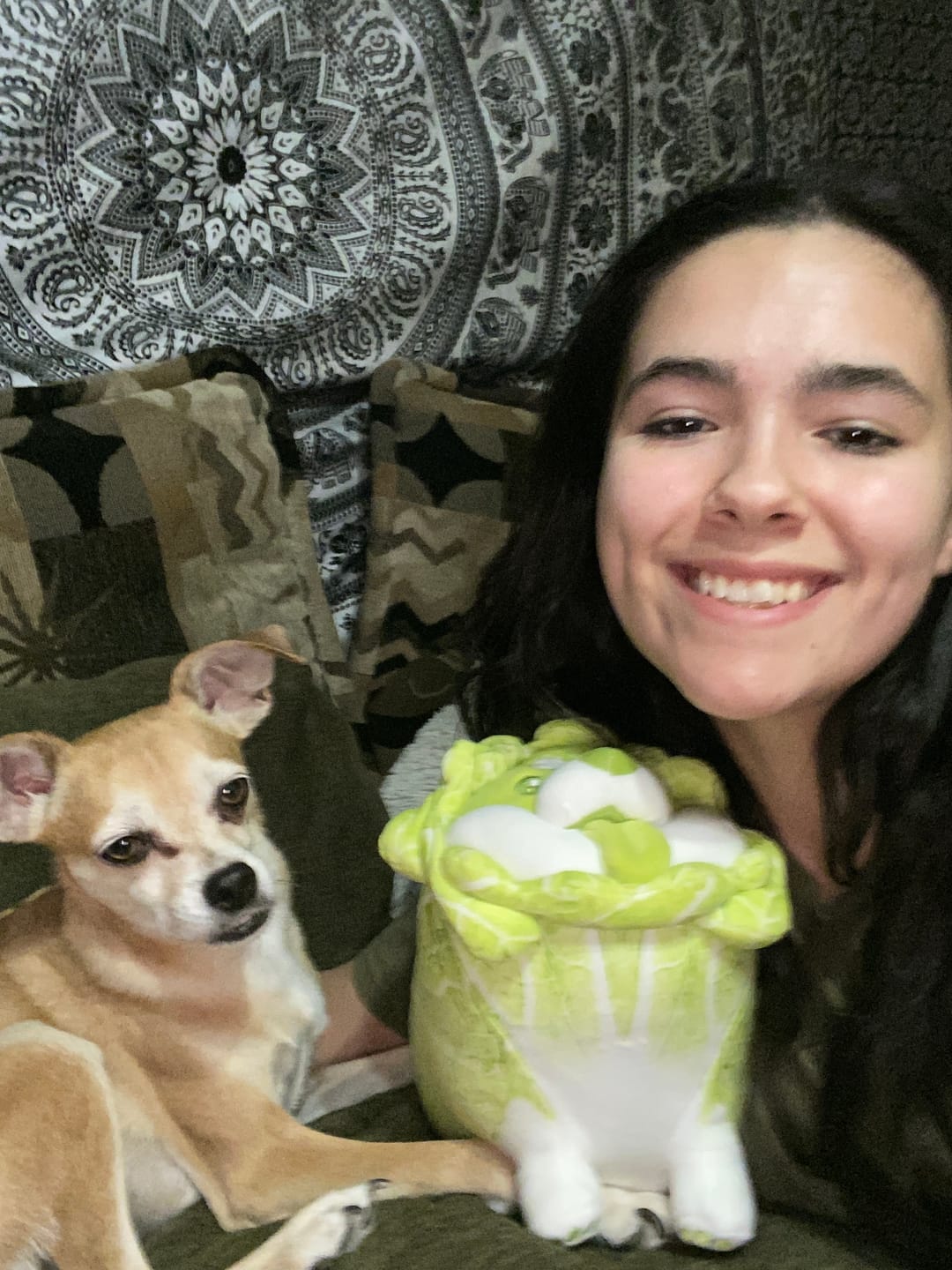 Customer photo review of Cabbage Corgi Plushies (5 SIZES)