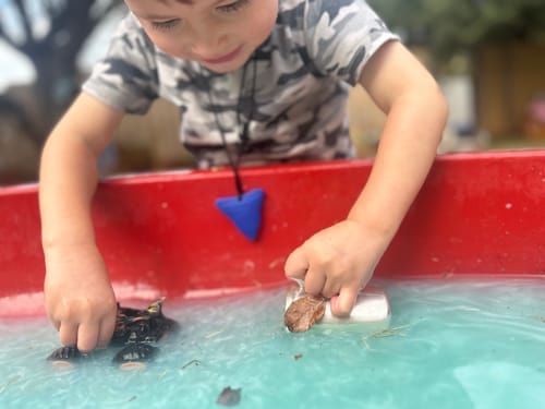 Customer photo review of Shark Tooth Sensory Chew Necklace - Free Hygiene Case