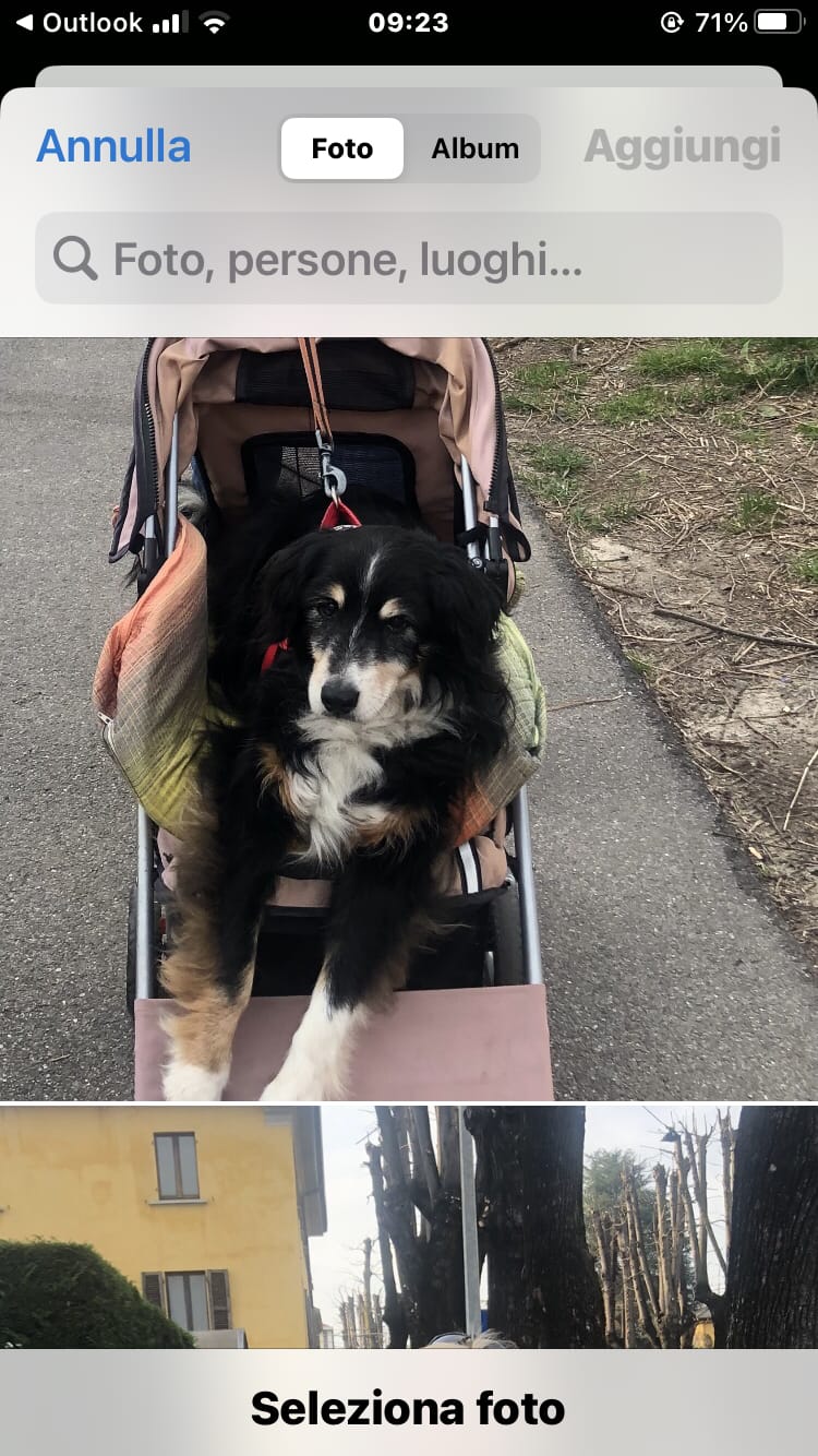 Customer photo review of ProtectionArtro+