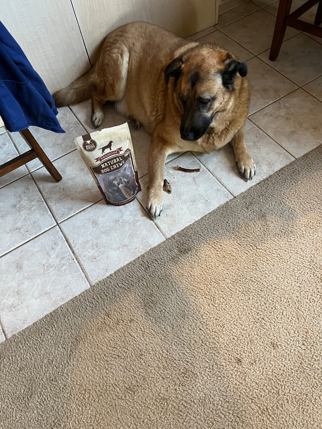 Customer photo review of 6 Inch Beef Jerky Strip