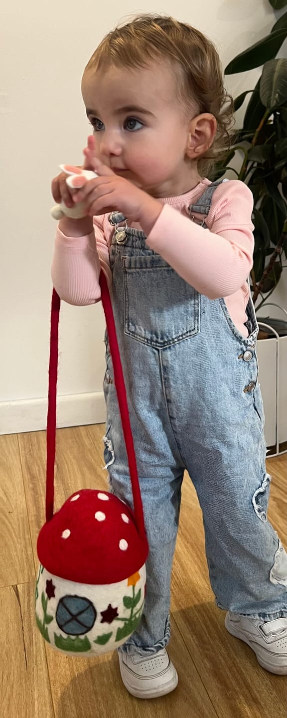 Customer photo review of Felt Mushroom Toadstool Bag