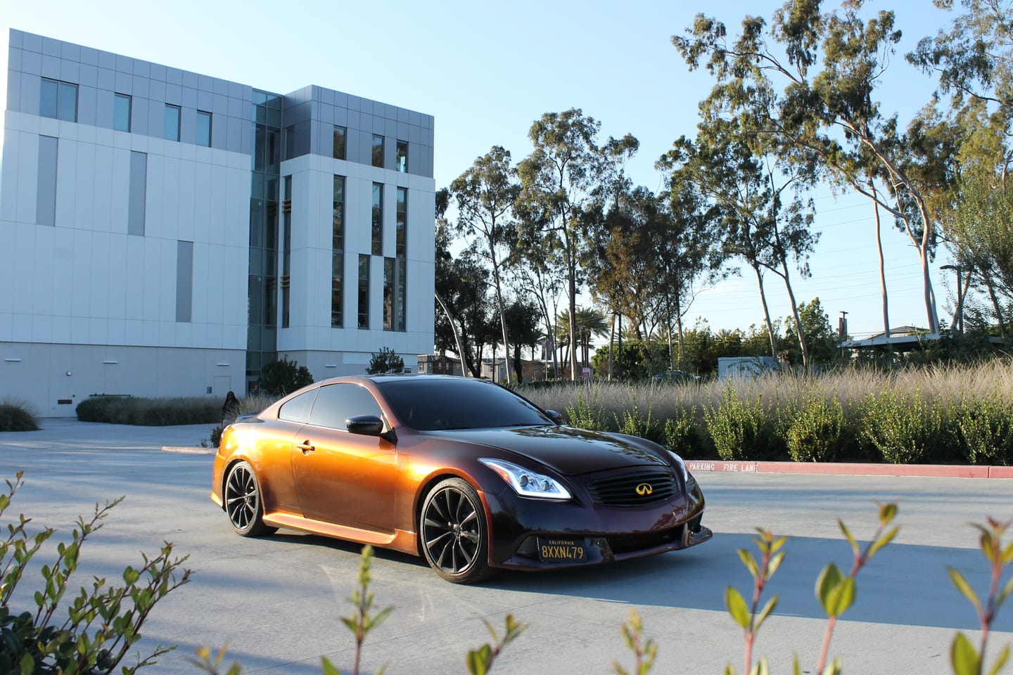 Customer photo review of Rainbow Drift Black Red Vinyl Wrap